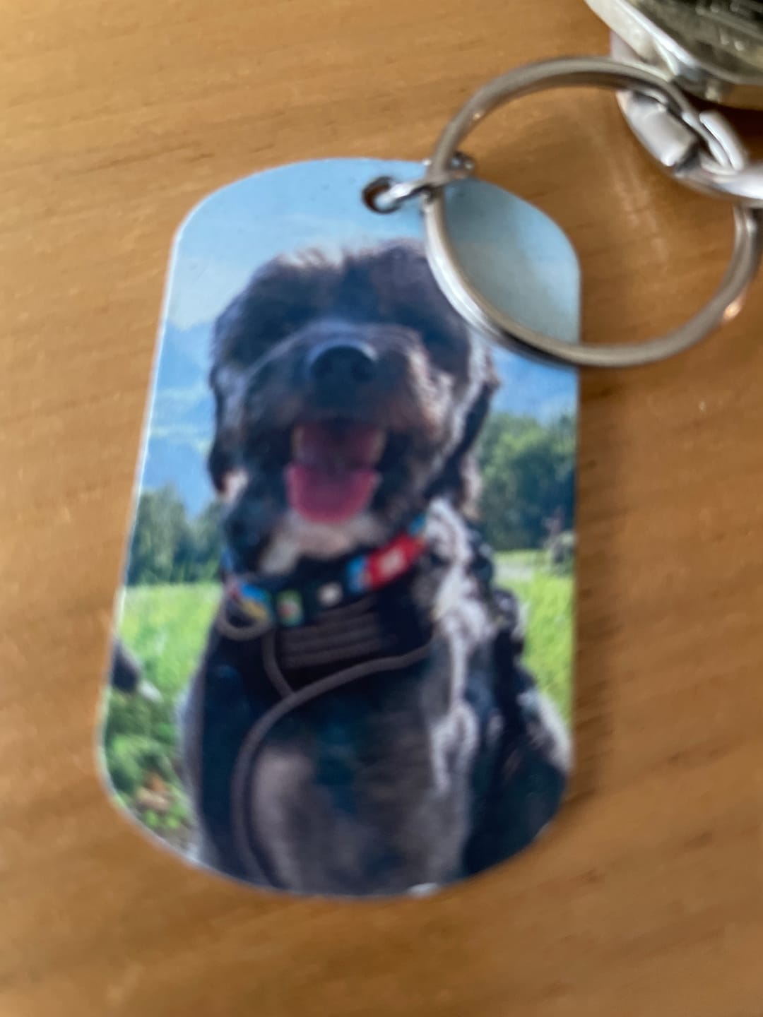 Customer photo review of Für immer im Herzen - Individueller Dog Tag Schlüsselanhänger