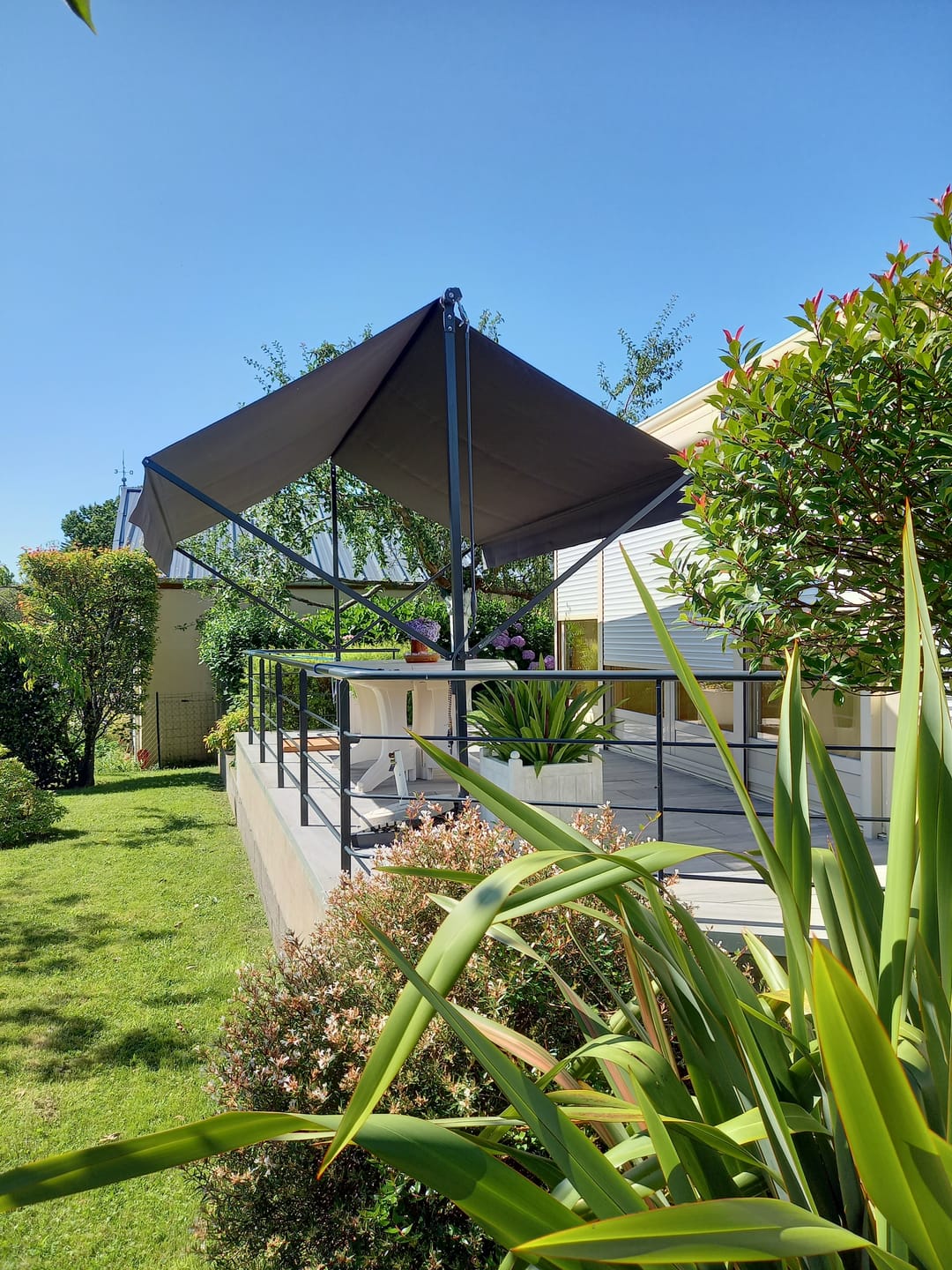 Customer photo review of ISEO 3x4