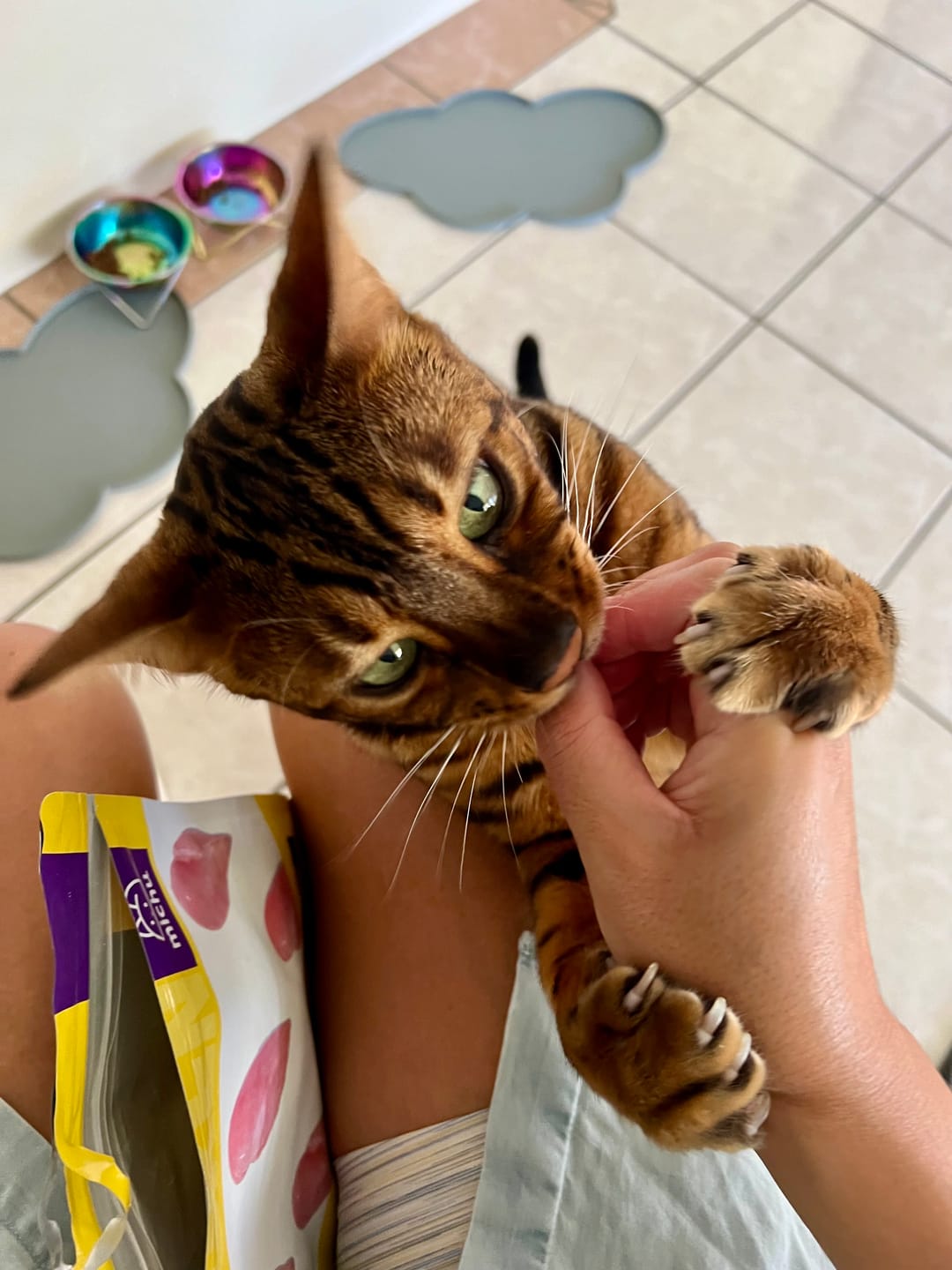 Customer photo review of Michu Freeze-Dried Raw Pet Food Dog & Cat Treat 150g - Made in Australia