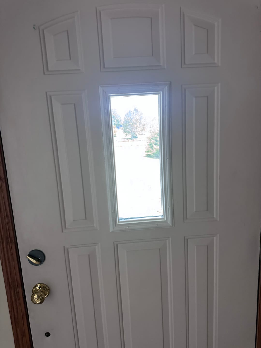 Customer photo review of Clear 1 Lite Glass and Frame Kit (9 Panel Lite 9.5" x 20.5" Frame Size)