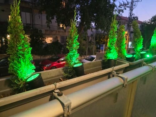Customer photo review of 9 LED Solar Spot Lights