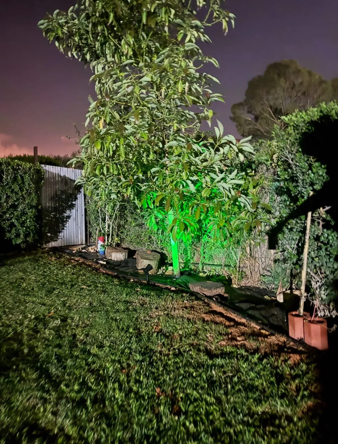 Customer photo review of 9 LED Solar Spot Lights