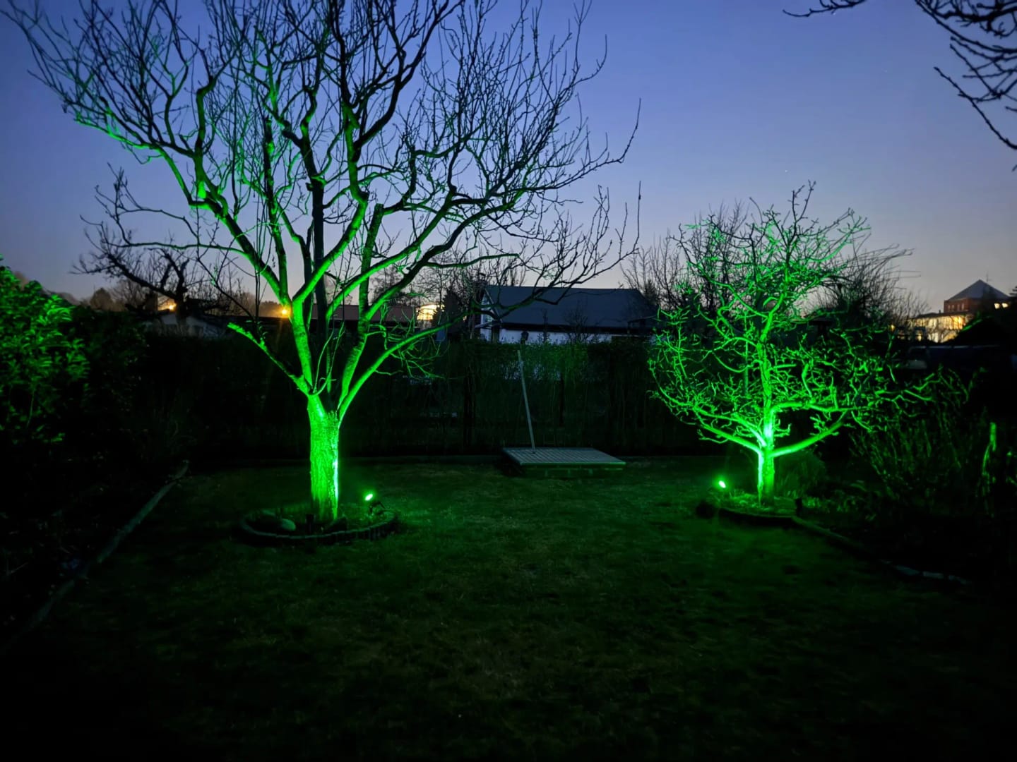 Customer photo review of 9 LED Solar Spot Lights