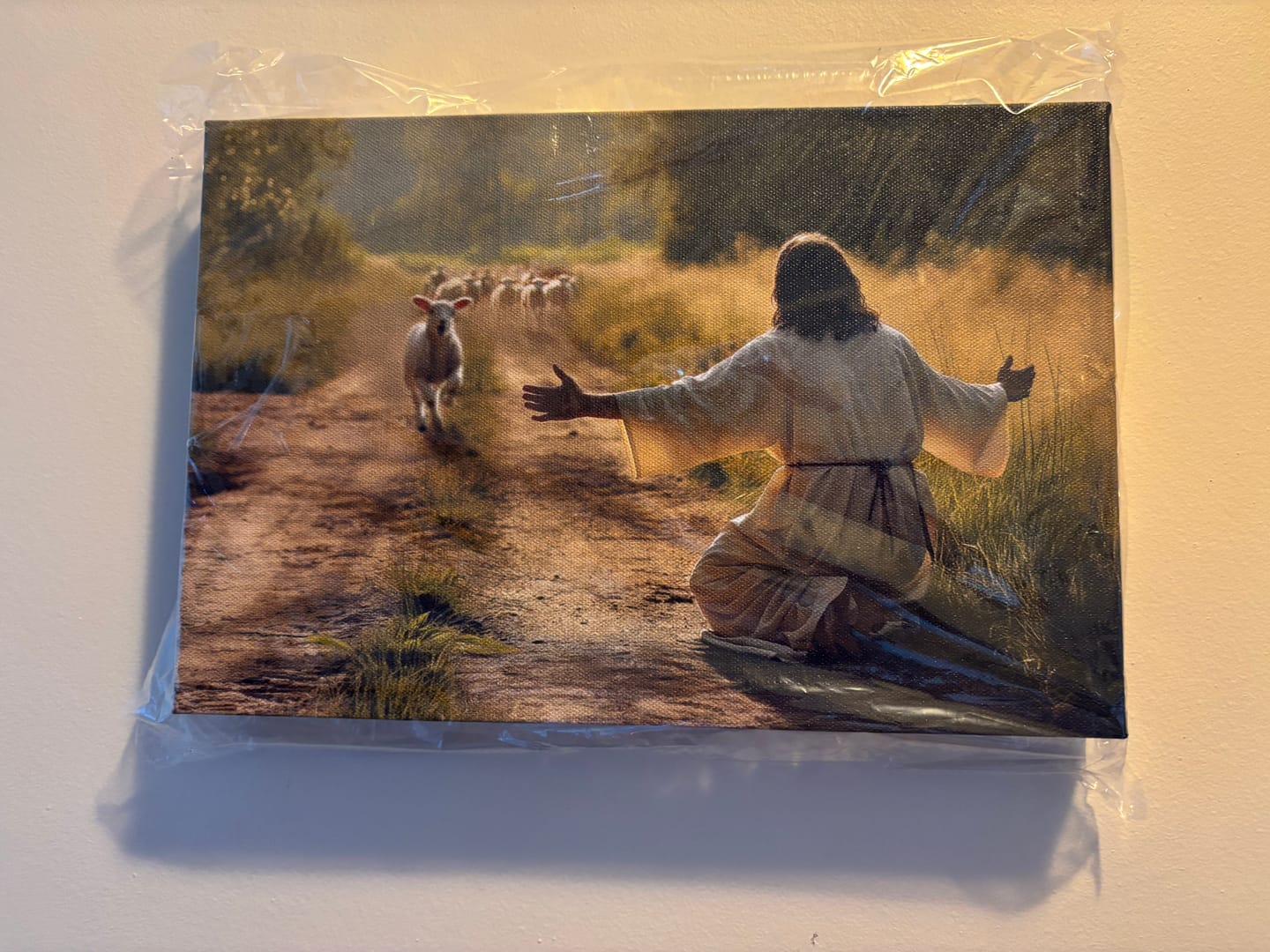Customer photo review of Lamb Runs to Jesus Wall Art Canvas