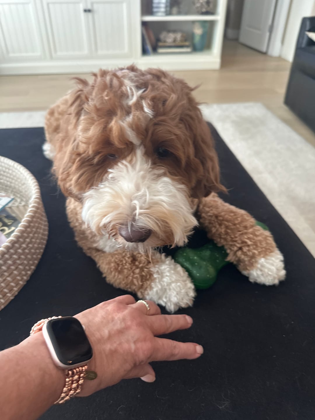 Customer photo review of Rose Gold Serenity Apple Watch Strap
