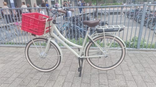 Customer photo review of E-Cargo N7