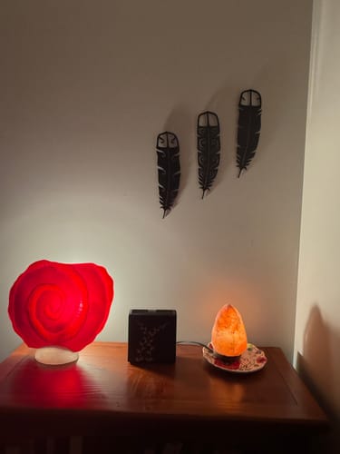 Customer photo review of Huia Feather Trio