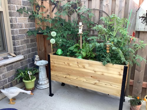 Customer photo review of 18" x 48" Raised Garden Bed - 30" TALL