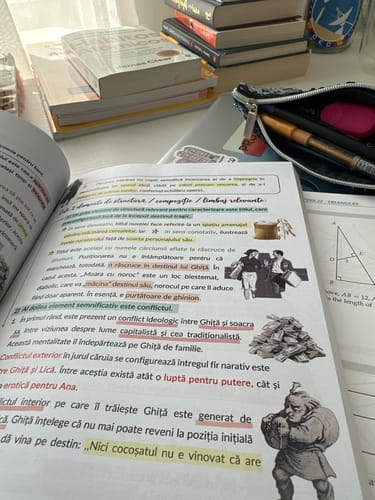 Recenzie cu fotografie de la un client despre Carte Română Bacalaureat Bacademia (temă și viziune, caracterizare, relație) - Ediția II