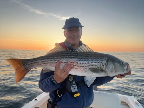 Customer photo review of 2024 NOMAD 2 PLIERS