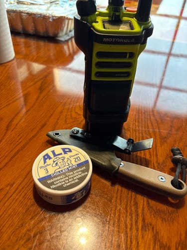 Customer photo review of Chilled Mint Nicotine Pouches