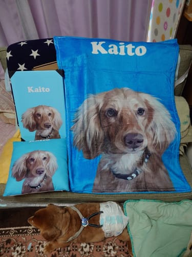 Customer photo review of Petcanvaオーダーメイド ペット似顔絵