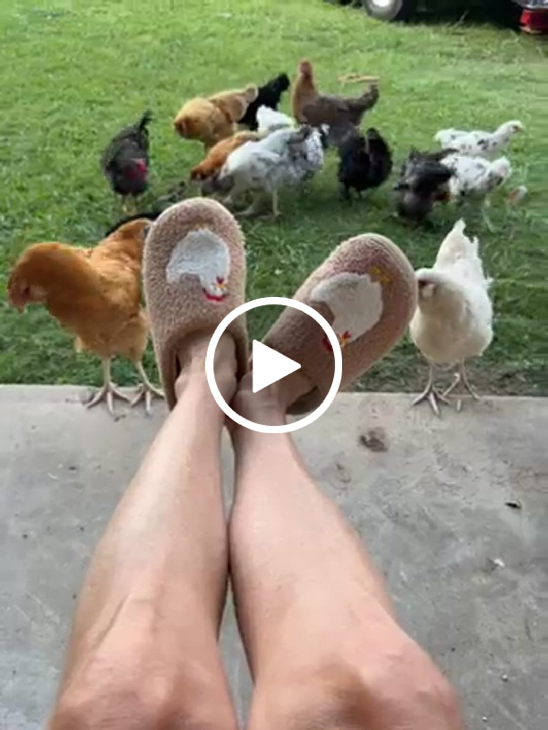 Customer video review of Brown Fuzzy Chicken Slippers - Adult