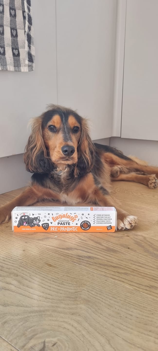 Customer photo review of Pre & Probiotic Digestive Paste for Dogs & Cats (30ml)