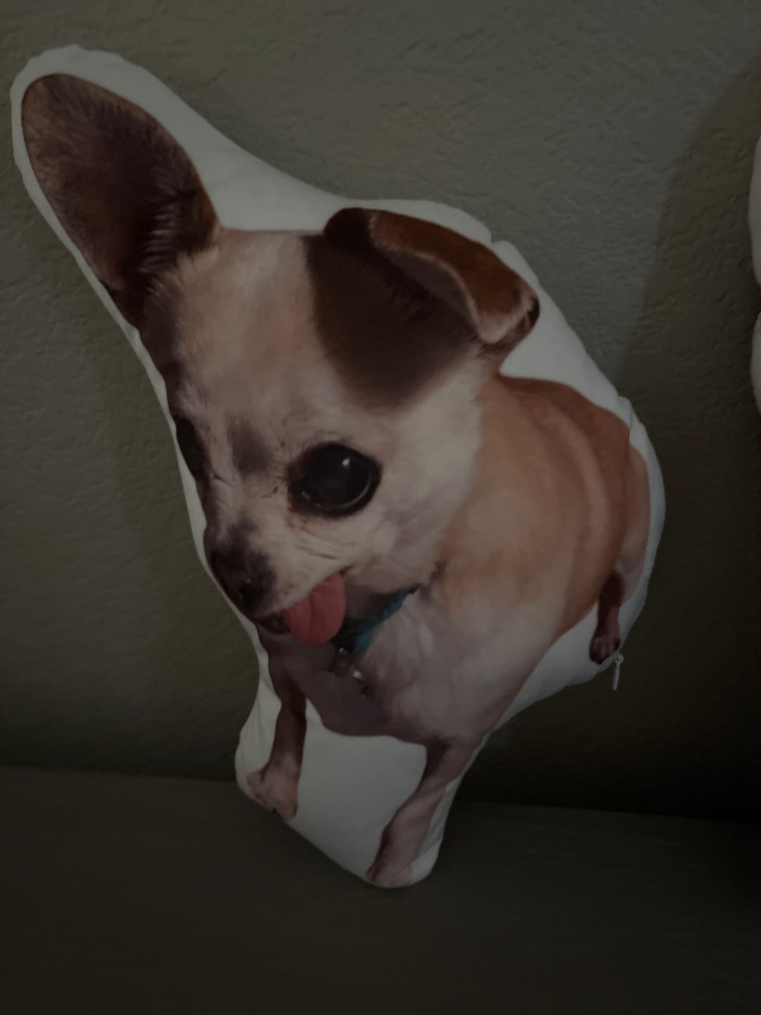 Customer photo review of Custom Dog Shaped Memorial Pillow for Pet Owners from Your Pet Picture