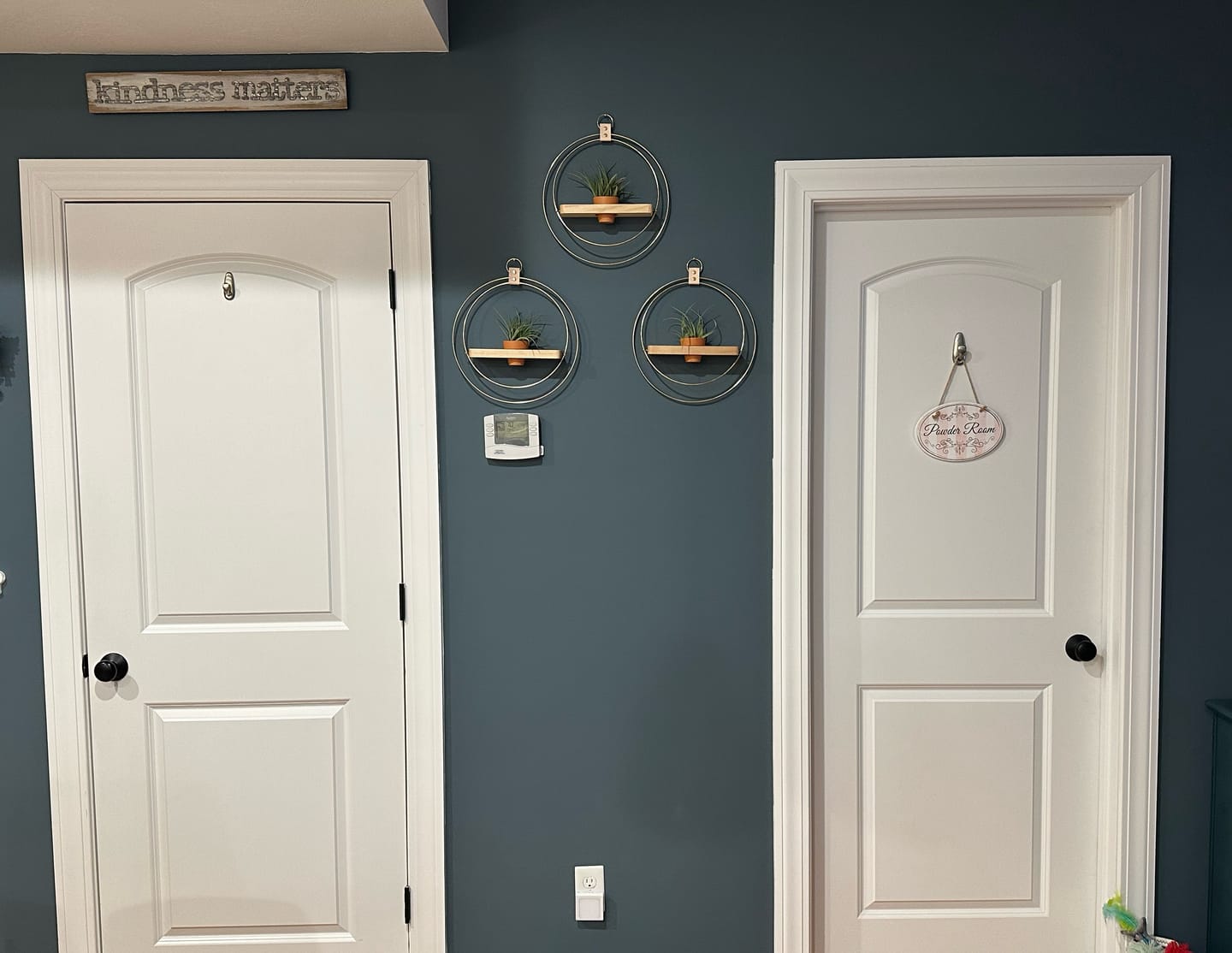 Customer photo review of Air Plant Shelf + Pot Trio