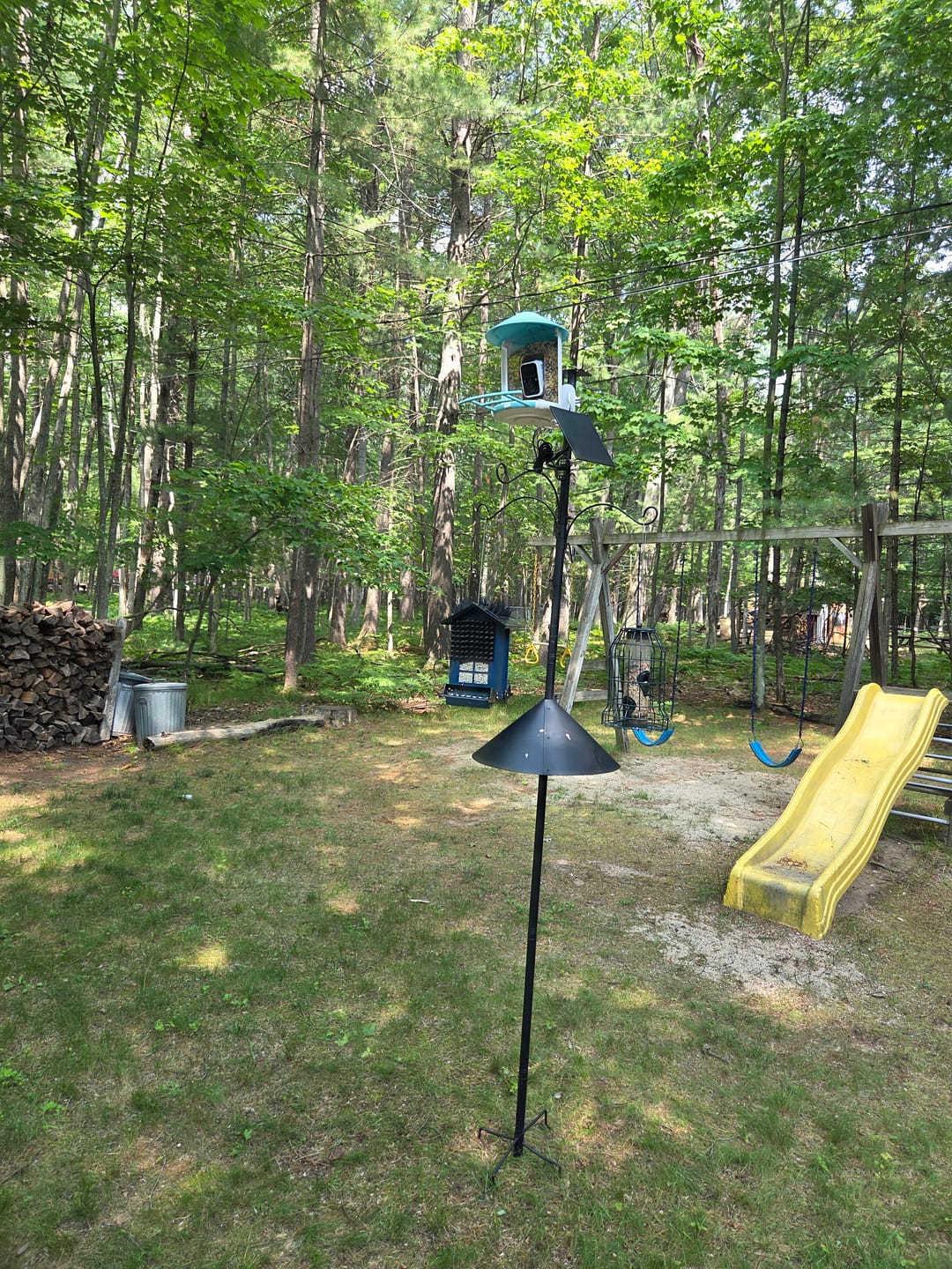 Customer photo review of Birdfy Solar Panel (Type C) - Bird Feeder Camera Solar Panel