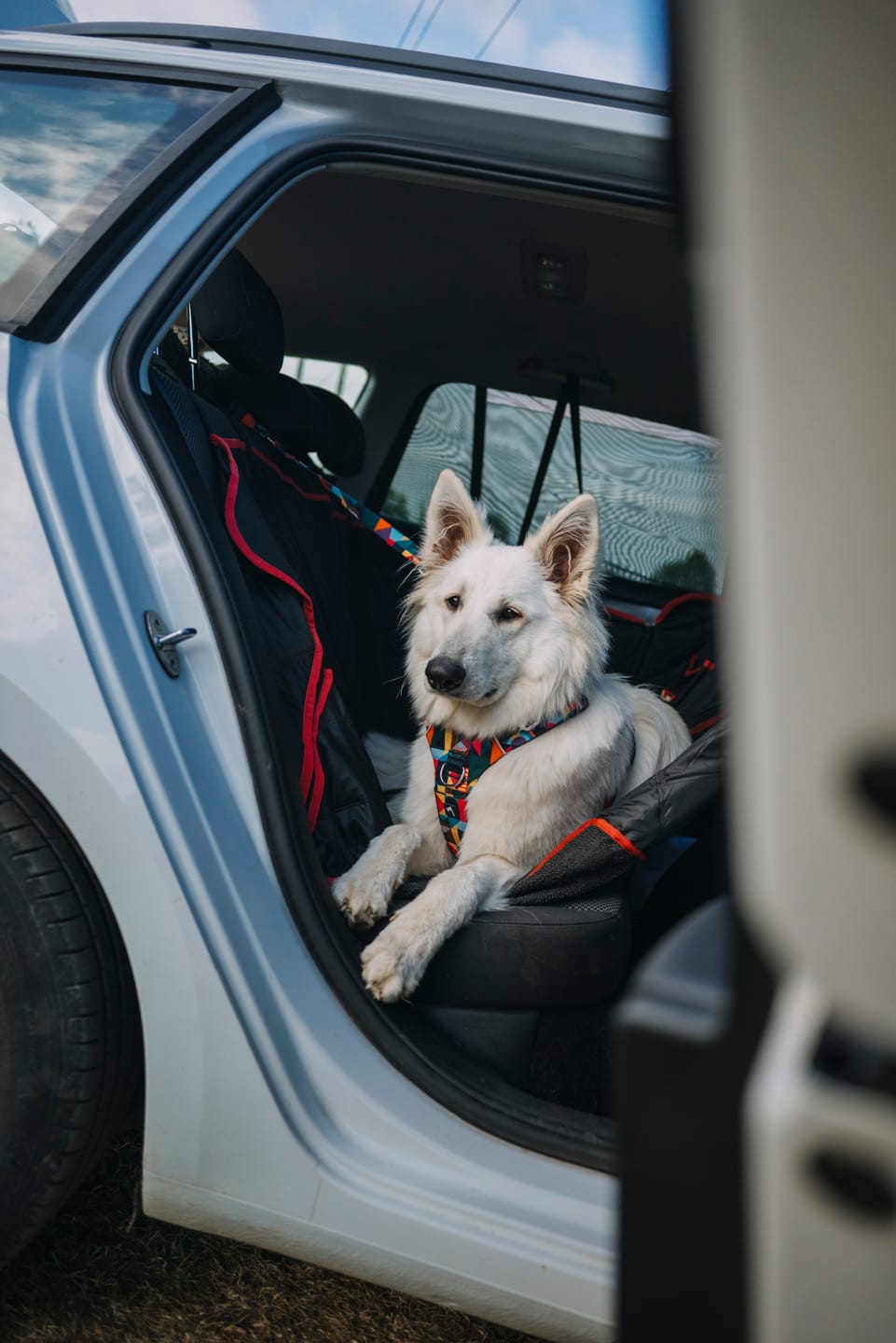 Customer photo review of Headrest Seatbelt