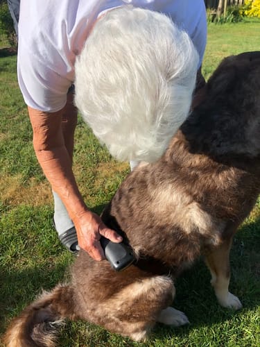 Customer photo review of Fellwunder-Bürste