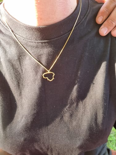 Customer photo review of Paauksuotas Sidabrinis pakabukas "Lietuva"