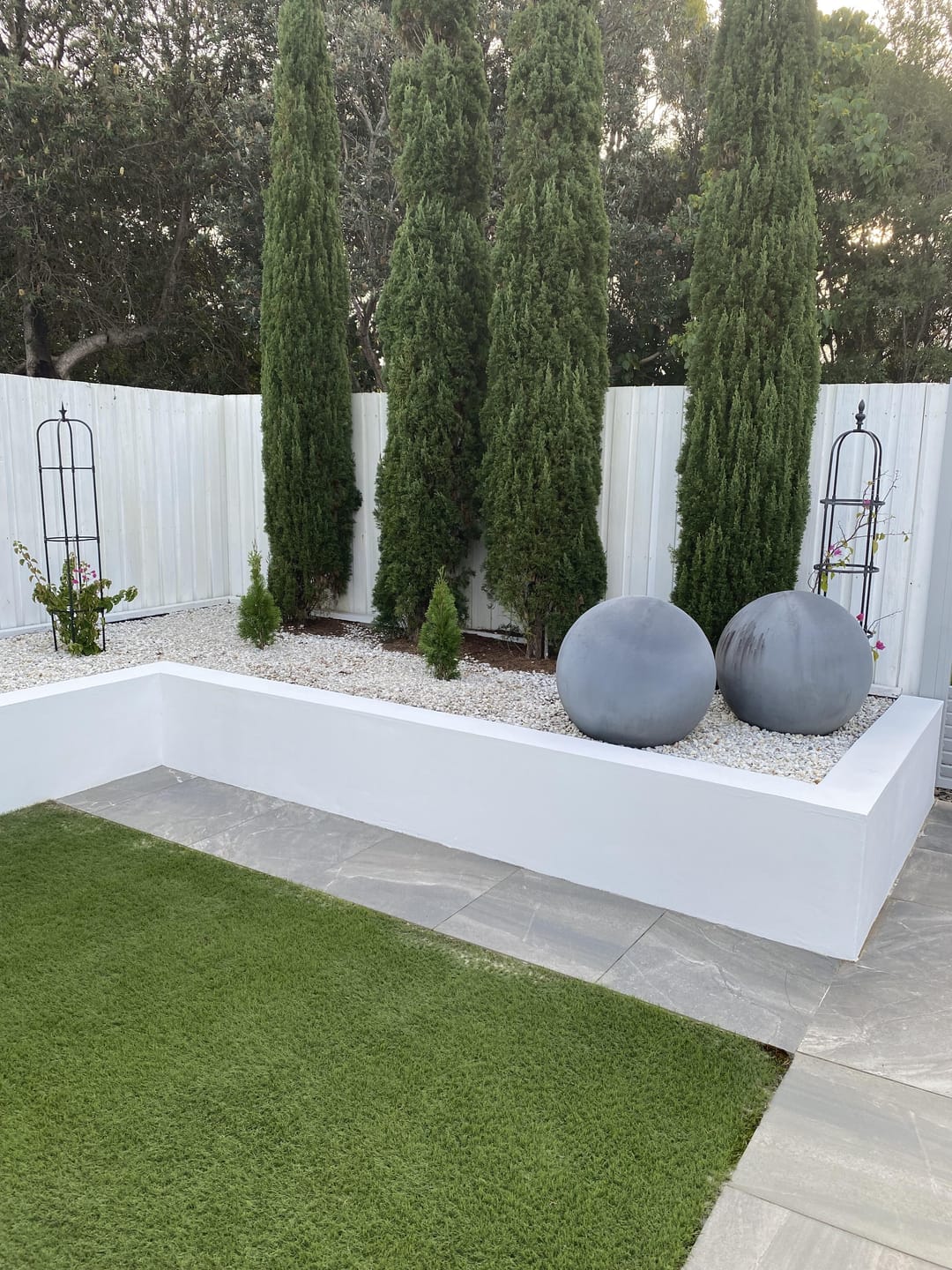 Customer photo review of Emerald Green Arborvitae - Thuja occidentalis 'Smaragd'