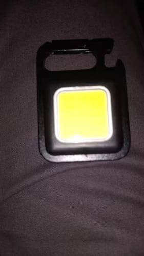 Customer photo review of 800 Lumens Mini LED Floodlight
