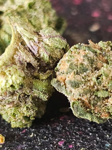 Customer photo review of Venom OG THCA Flower