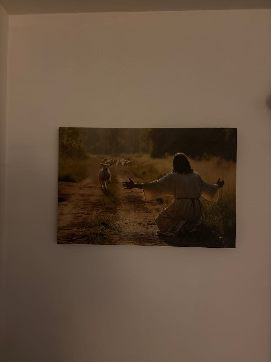 Customer photo review of Lamb Runs to Jesus Wall Art Canvas