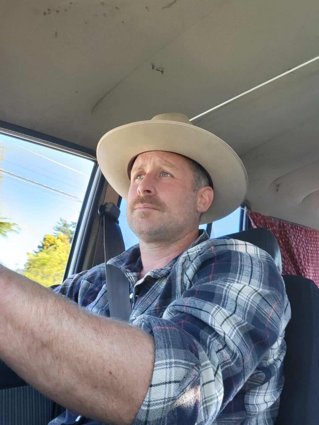 Customer photo review of Stetson Silver Belly Open Road
