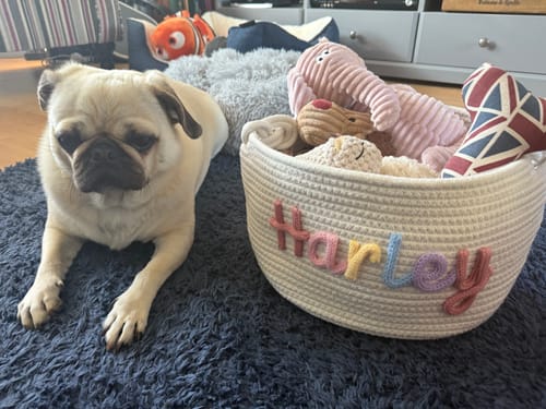 Customer photo review of Baby Knits™  Multicolor Personalized Knitted Basket