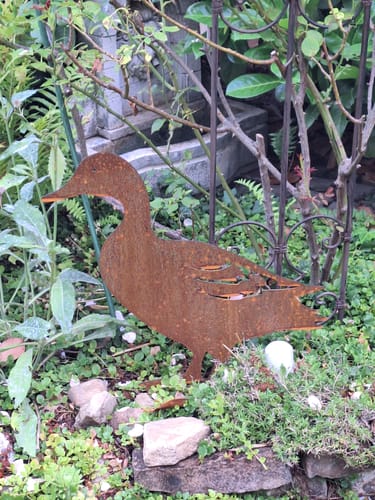 Customer photo review of Gartenstecker Ente