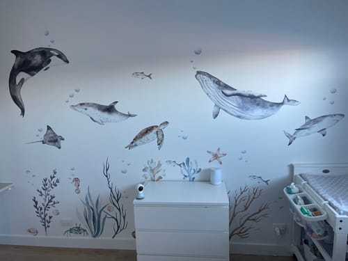 Customer photo review of Ocean Wall Decal Set
