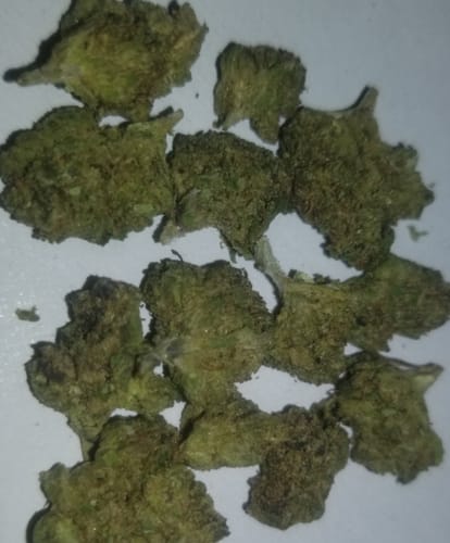Customer photo review of Cheap THCA Flower Ounce