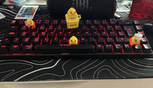 Customer photo review of Quackey - Fidget Toy that Quacks!