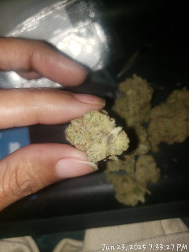 Customer photo review of Airborne G13 × Super Silver Grail Haze