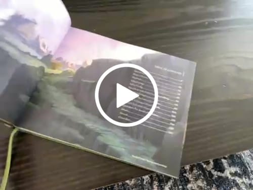 Customer video review of The Art of The Wingfeather Saga - Season One