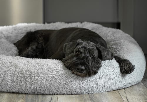 Customer photo review of CalmBed - Motverkar stress & hjälper mot ångest