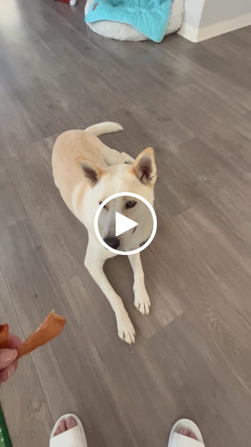 Customer video review of Pumpkin Chicken