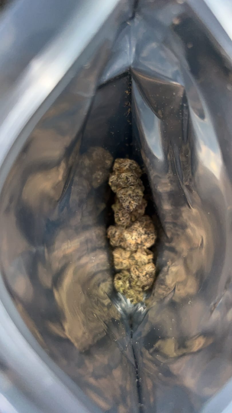 Customer photo review of Greenhouse THCa Flower