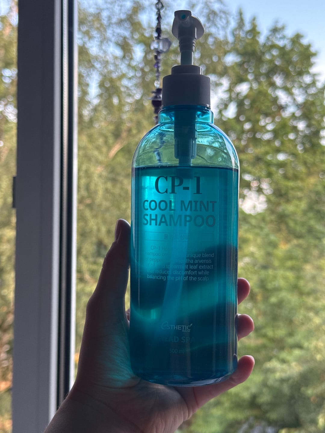 Customer photo review of Atvēsinošs šampūns ar piparmētru CP-1 Head Spa Cool Mint Shampoo