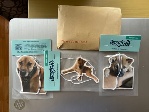 Customer photo review of Custom Air Freshener