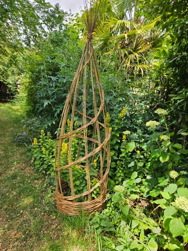 Customer photo review of The Willow Plant Support - Course and Kit