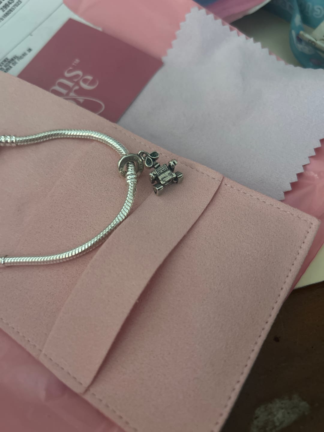Customer photo review of Charm Wall-E S925