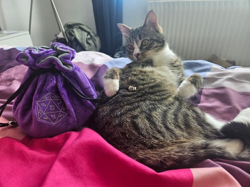 Customer photo review of XXL-Würfelbeutel mit 7-Fächern aus Plüsch