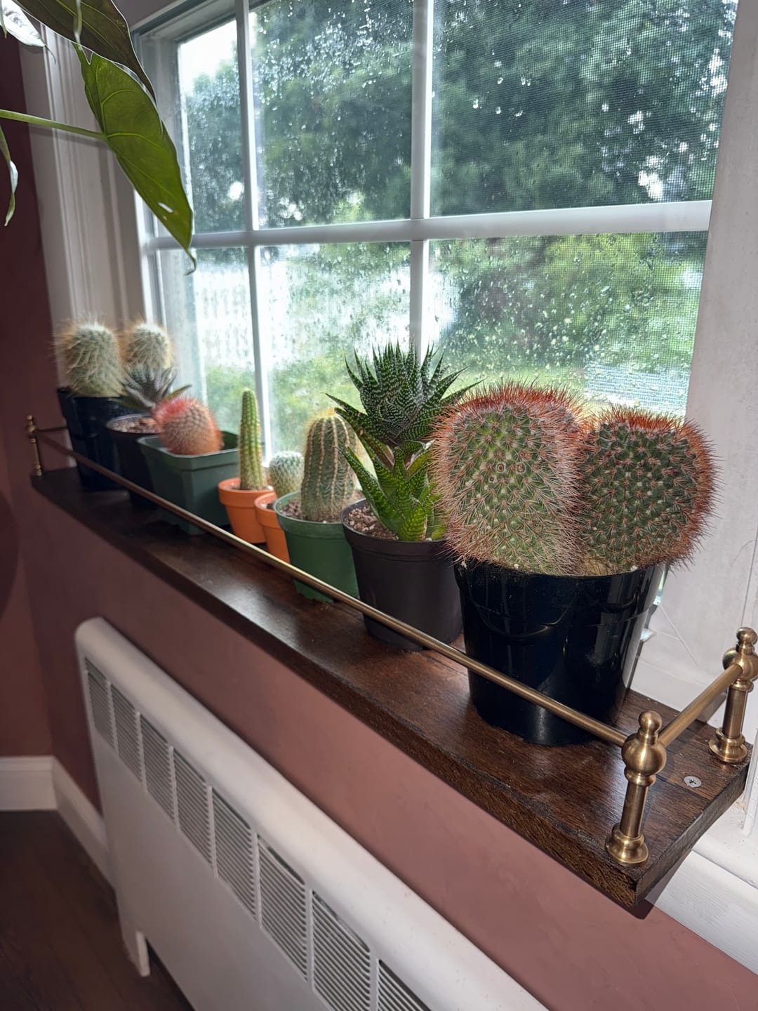 Customer photo review of Victorian Brass Gallery Rail - Antique Brass