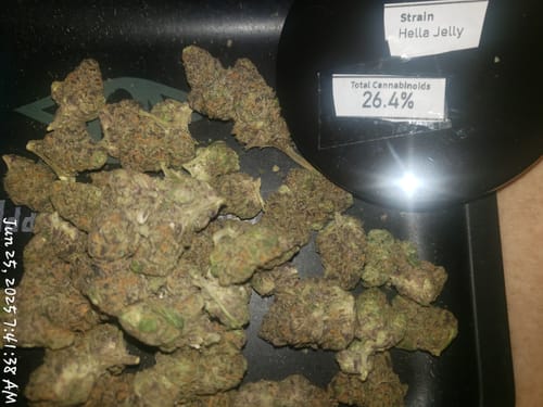 Customer photo review of Hella Jelly