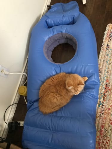 Customer photo review of Inflatable for pregnancy