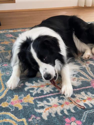 Customer photo review of Roo Tendons