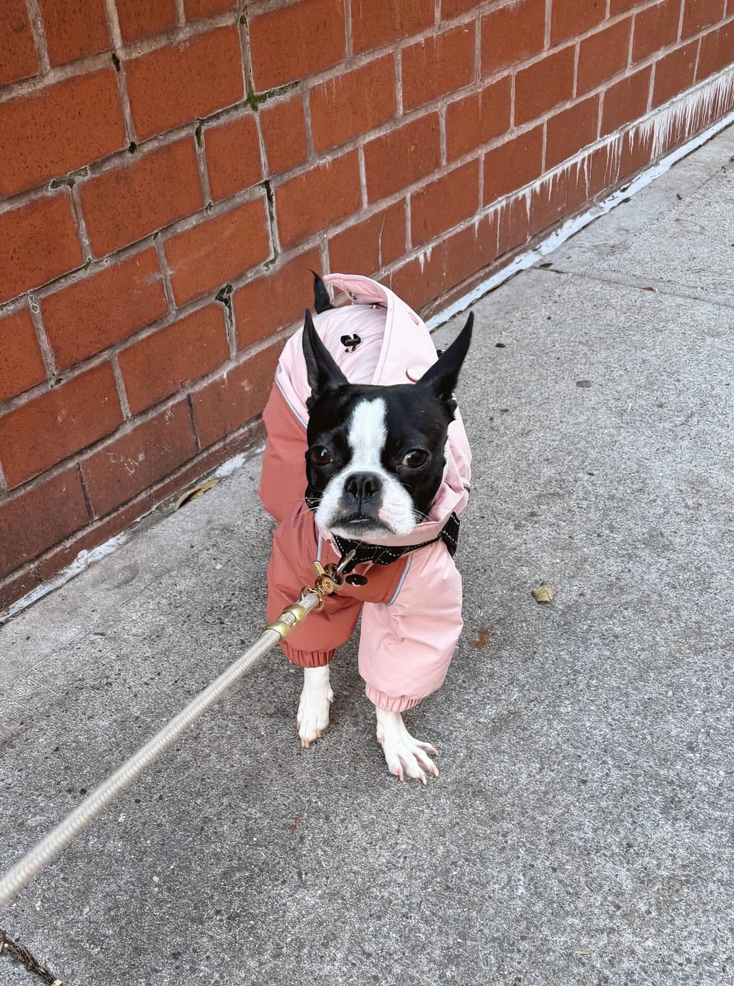 Customer photo review of Autumn Breeze Outdoor Suit