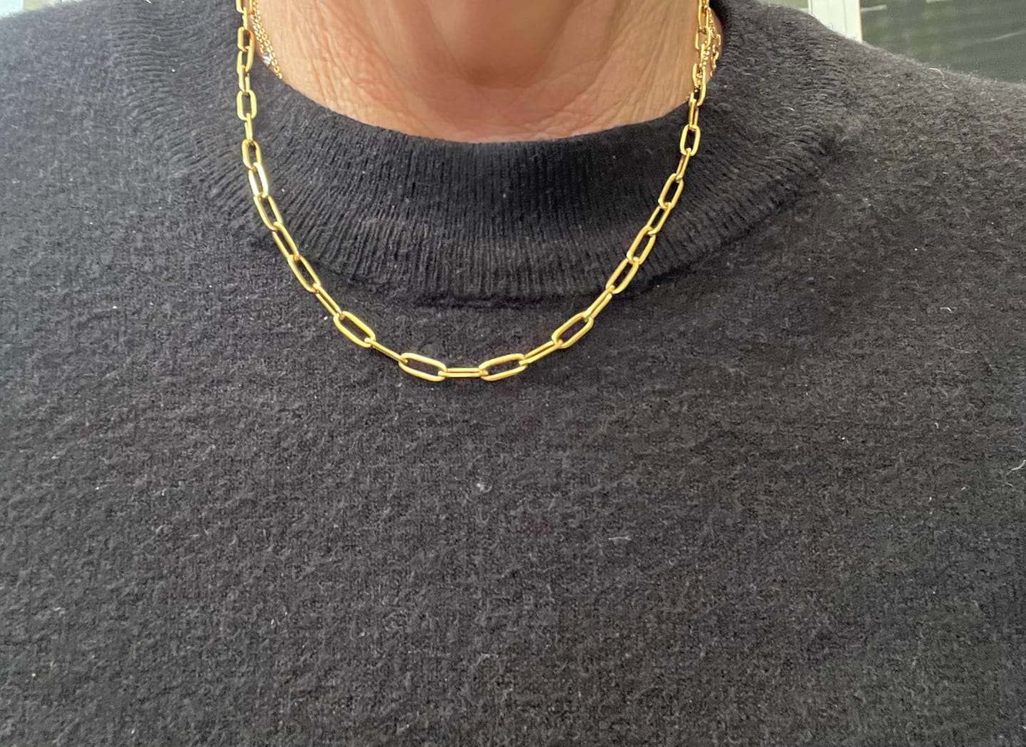 Customer photo review of Paperclip Necklace